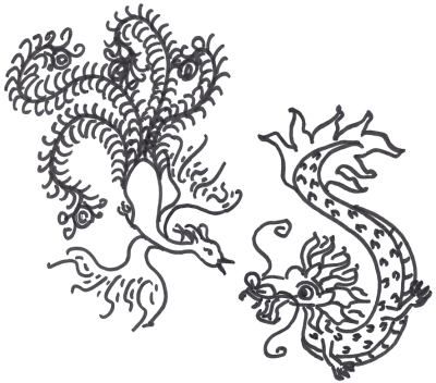 Phoenix and dragon, drawing